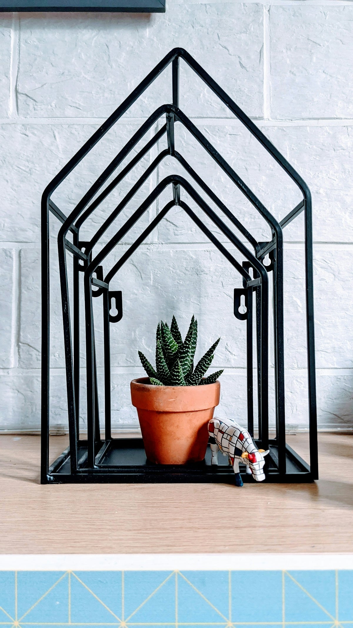 green potted plant on black metal rack
