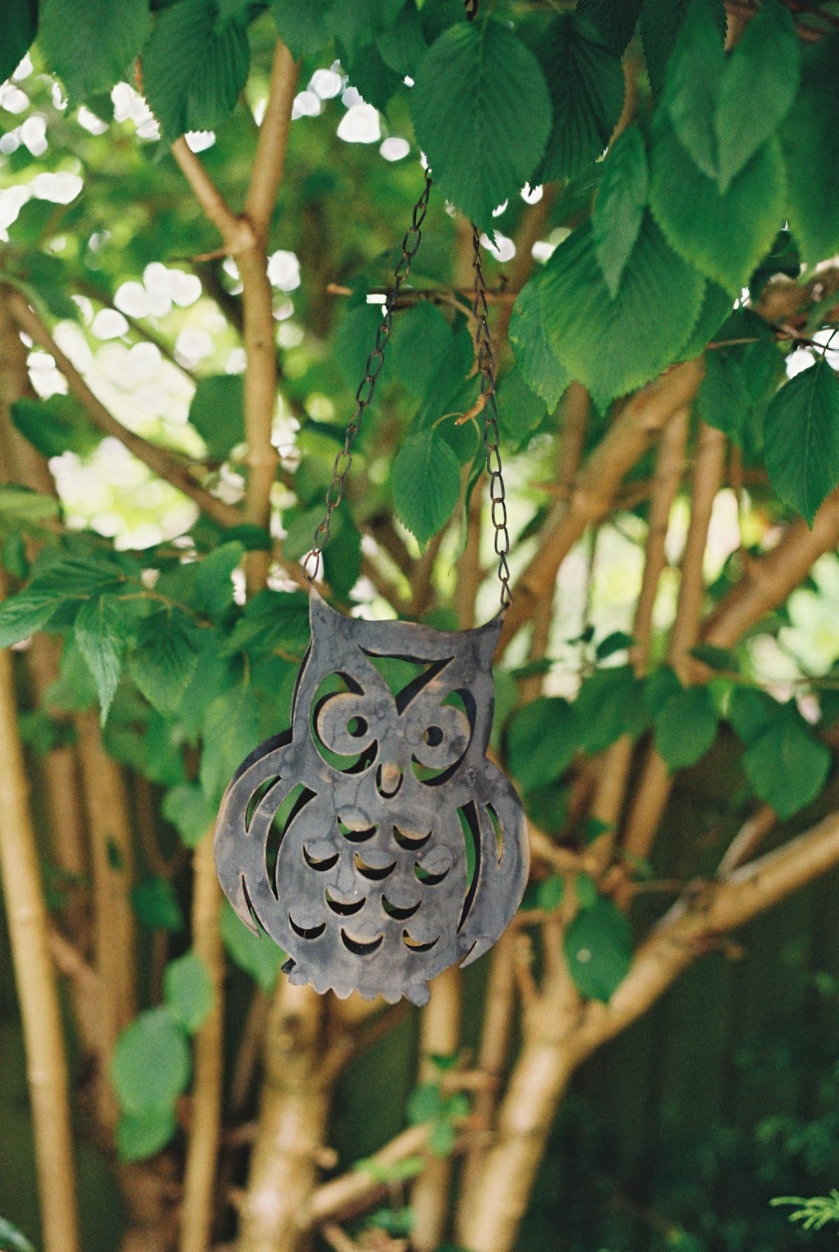 Metal owl decoration hanging from a tree branch