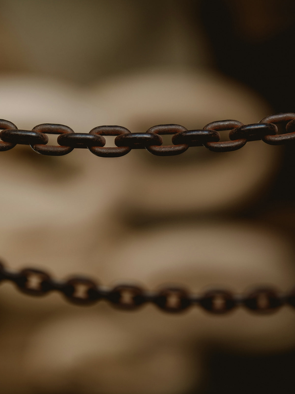 Two horizontal rusted metal chains against a soft out of focus background